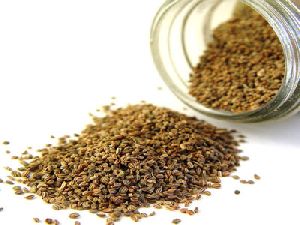 Celery Seed Oil