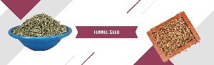 fennel seed