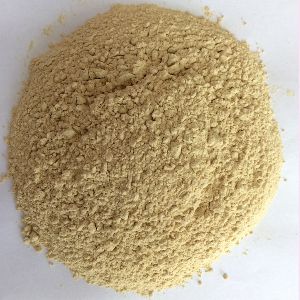 Garlic Powder Exporter
