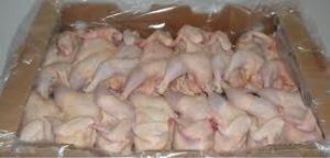 Frozen Chicken Meat,  Boneless : No smell