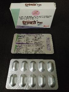 Ginkgo Biloba Ginseng Lycopene Lutein & Vitamin Tablets