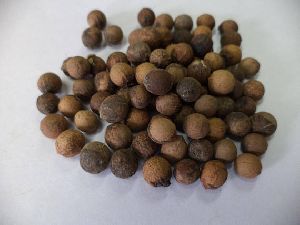 White Sandalwood Seeds