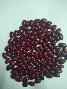 Rajma ( small)