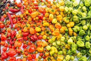 Natural black pepper, Shape : Oval, Round, Whole