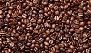 GMO robusta coffee beans, Certification : ISO 9001:2008