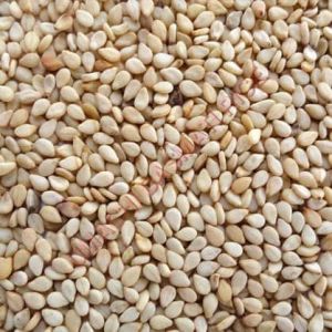 Natural sesame seeds, Packaging Type : Brown for Agricultural
