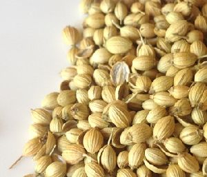 coriander seeds