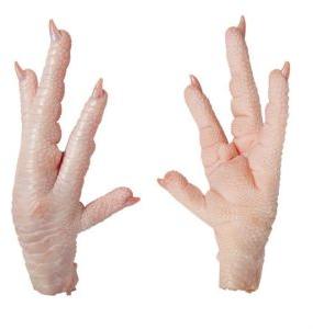 Chicken Paws
