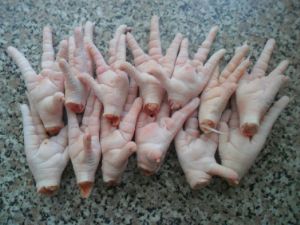 Halal Quality Frozen Chicken Paws