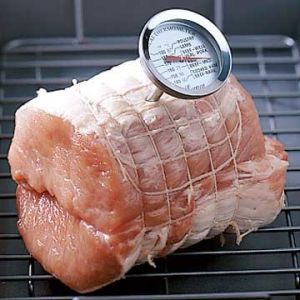 Frozen Meat Thermometer