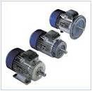 Electrical Motors