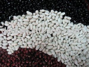 White Red Kidney Beans