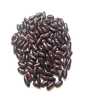 Black Kidney Beans