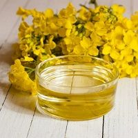 Rapeseed Refined Oil