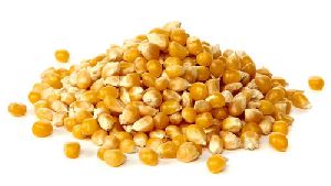 raw maize