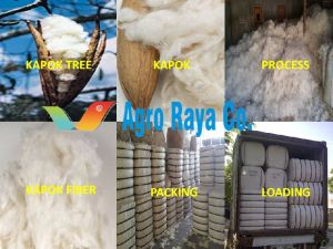 Natural Kapok Fiber
