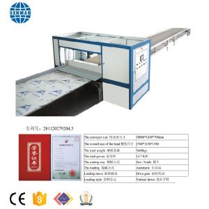Veneer Paving Machine