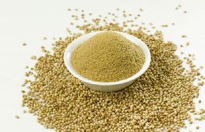 coriander powder