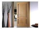 skin moulded door