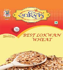 Lokwan Wheat