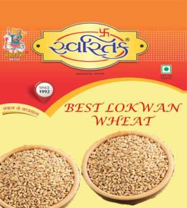 Malwa Wheat