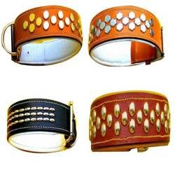 dog collars