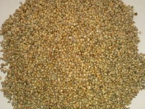 pearl millet