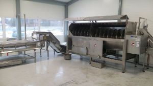 Continuous Operation Vegetable Processing Line