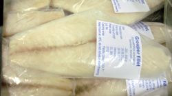 Frozen grouper fillets without skin