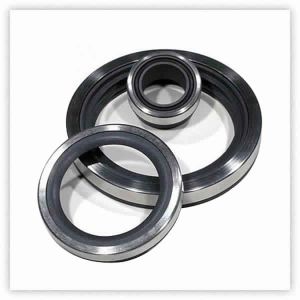 METALLIC OIL SEAL