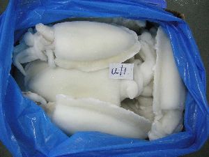 Frozen Cuttle Fish