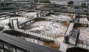 Effluent Treatment Plant