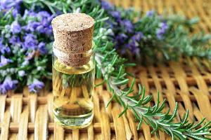 rosemary essential oil