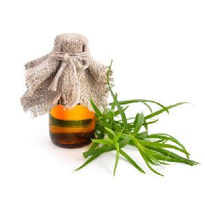 Tarragon Essential Oil