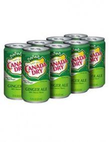 Canada Dry, Certification : FSSAI, Packaging Type : Tetra Pack