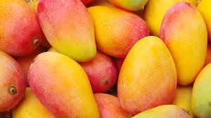 Organic Mango