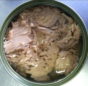 185g Can Tuna Fish