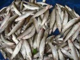 Dried Bara Fish