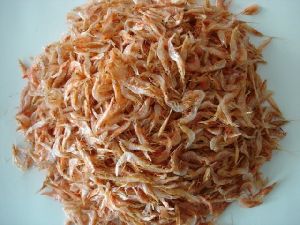 Dried Shrimp Fish