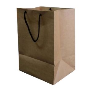 Plain Shopping Paper Bag