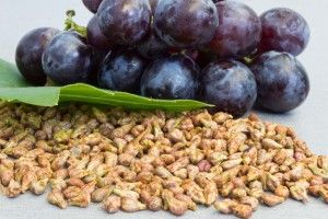 Grape Seed Extract