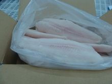 pangasius fillets