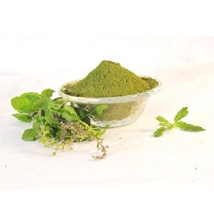 Vana Tulsi Powder