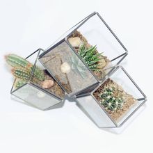 Indoor Glass terrarium with metal
