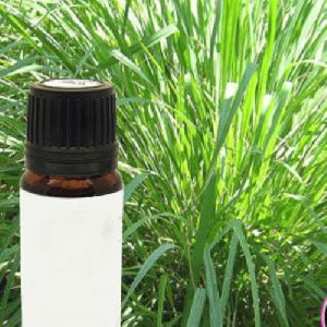 Ayurvedic Ginger Grass Oil