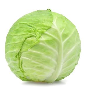 Green Cabbage