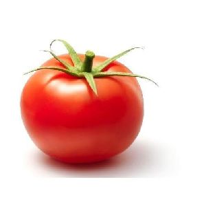 Indian Red Tomato