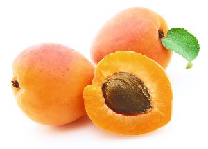 Natural Apricot