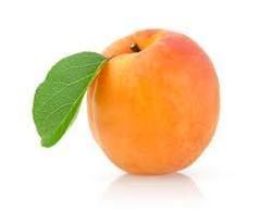 Organic Apricot