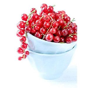 Organic Red Gooseberry